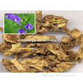 Best price Scutellaria root extract/Baicalin 99% scutellaria baicalensis root extract